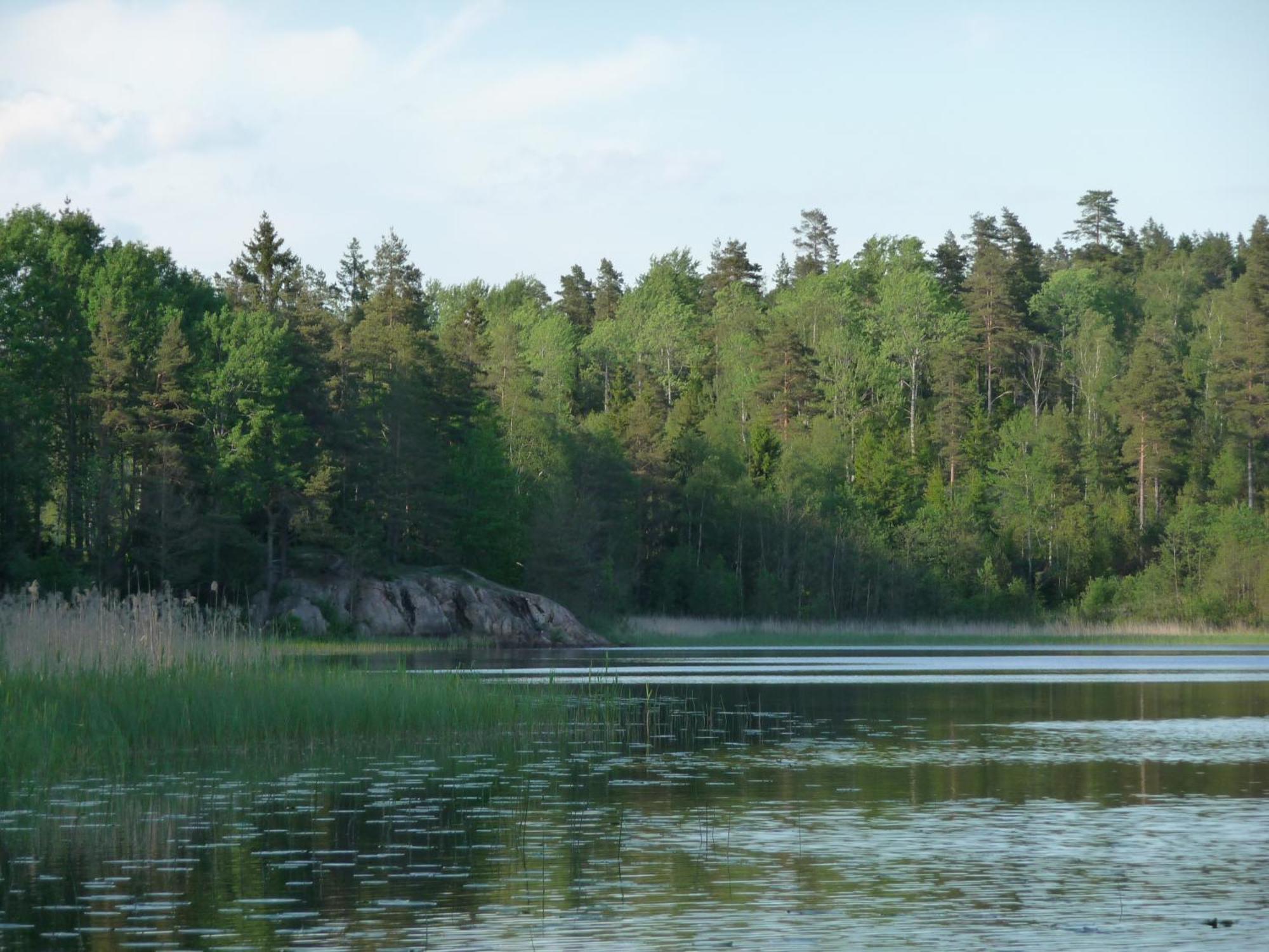 Kynnefjaellsnatur Hedekas Екстериор снимка