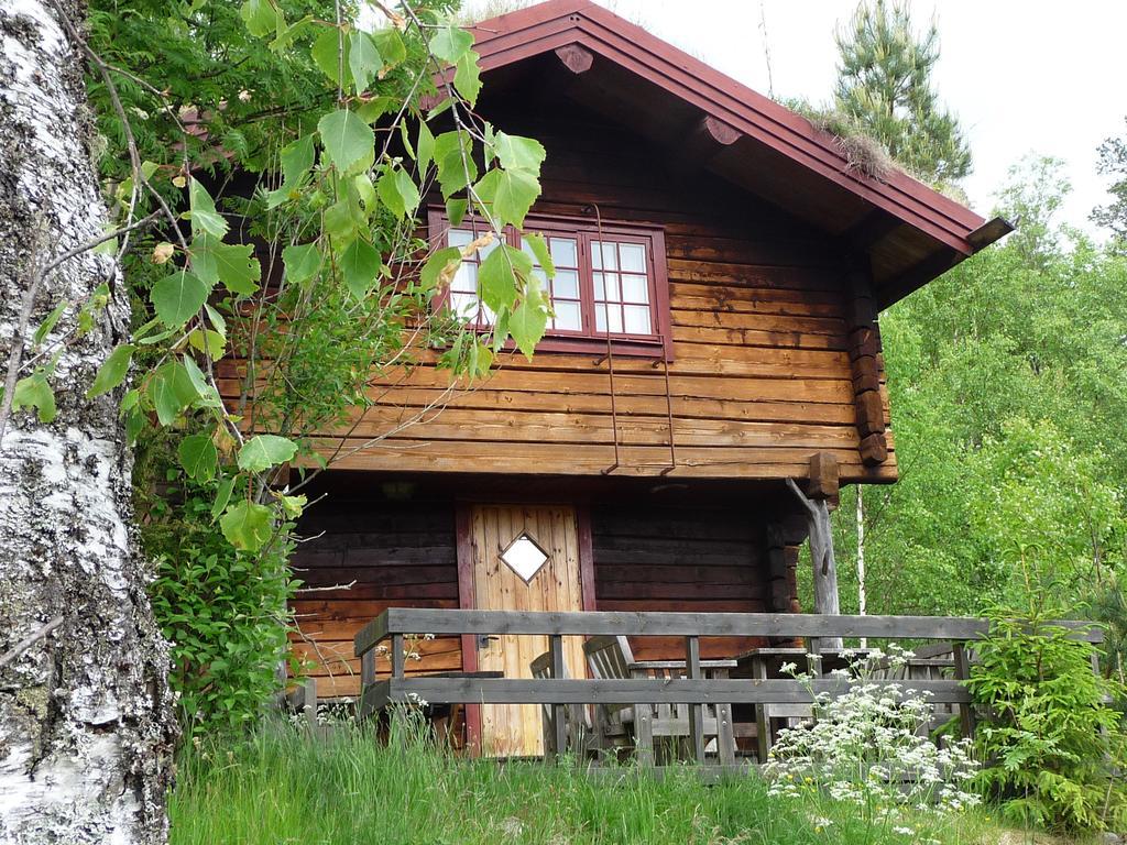 Kynnefjaellsnatur Hedekas Екстериор снимка