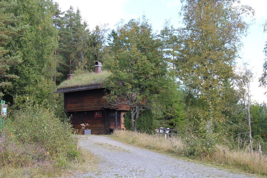 Kynnefjaellsnatur Hedekas Екстериор снимка
