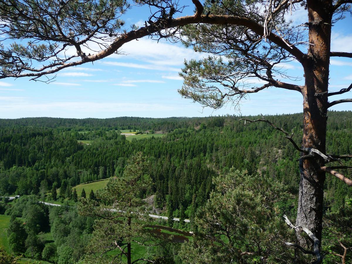Kynnefjaellsnatur Hedekas Екстериор снимка